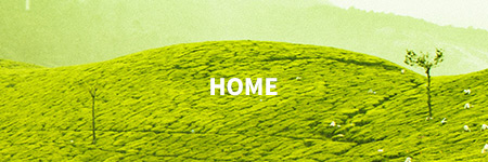 nav-home