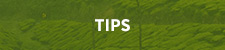 nav-tips-active