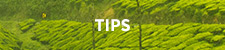 nav-tips