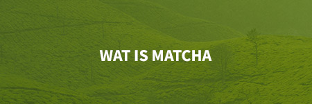 nav-wat-is-matcha-active